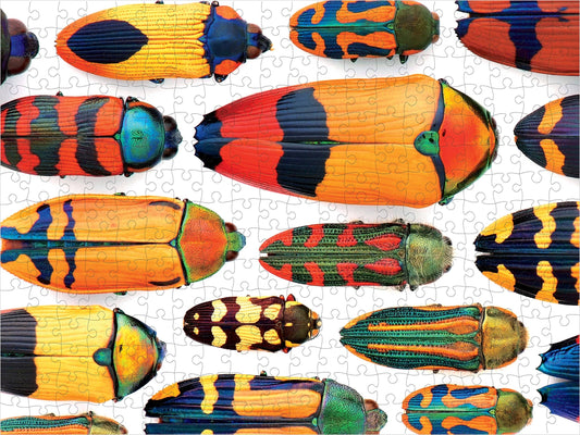 Pomegranate - Christopher Marley: Beautiful Beetles 300-piece Jigsaw Puzzle - PMA Store at the Portland Museum of Art, Maine