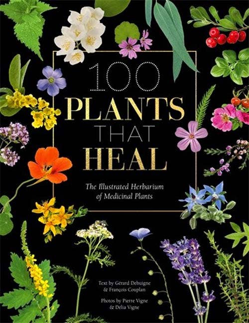 VisionWorks LLC - 100 Plants That Heal: Illustrated Herbarium Medicinal Plant - PMA Store at the Portland Museum of Art, Maine