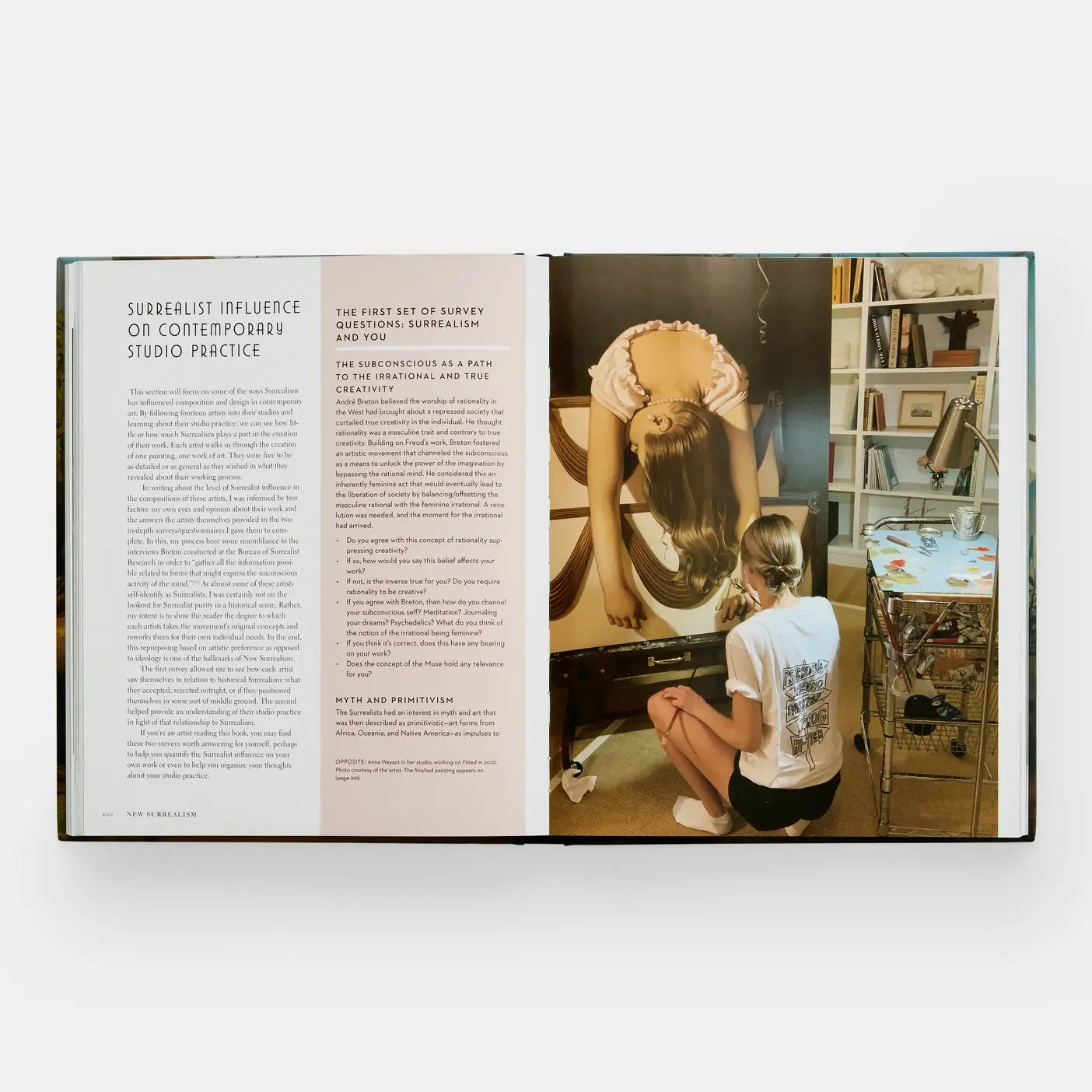 New Surrealism: The Uncanny In Contemporary Painting - PMA Store at the Portland Museum of Art, Maine