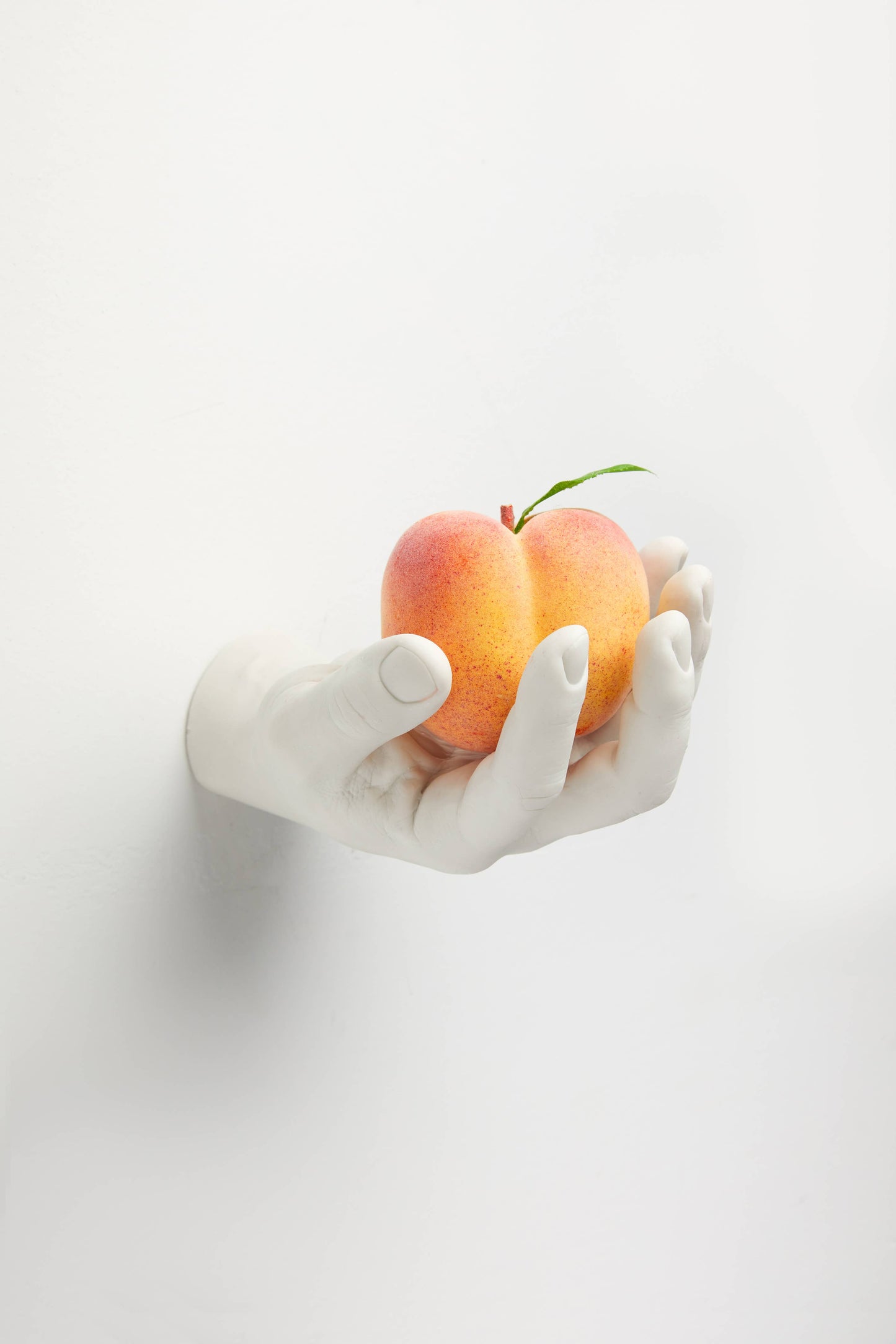 Reality Hand Hook: Offer - PMA Store at the Portland Museum of Art, Maine