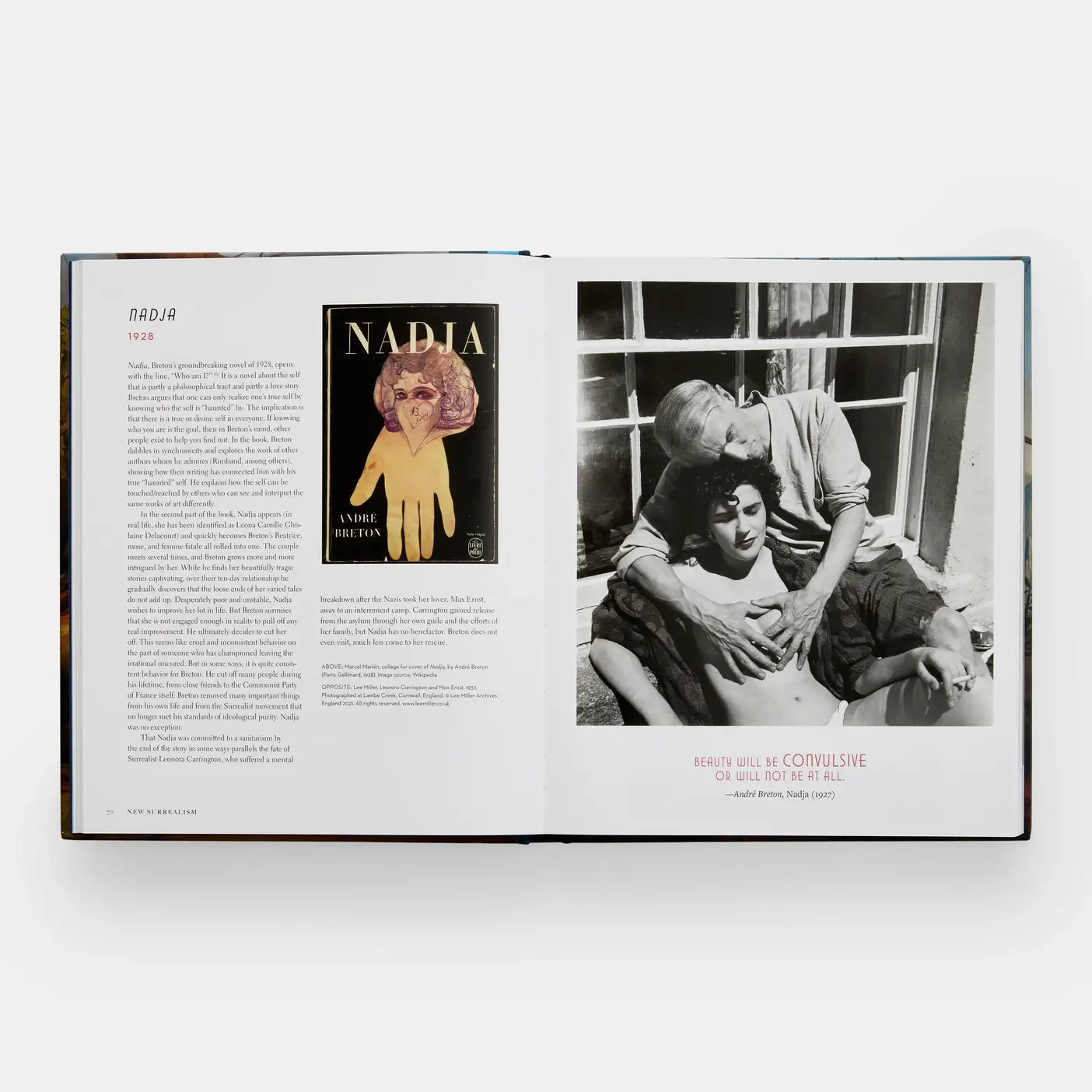 New Surrealism: The Uncanny In Contemporary Painting - PMA Store at the Portland Museum of Art, Maine