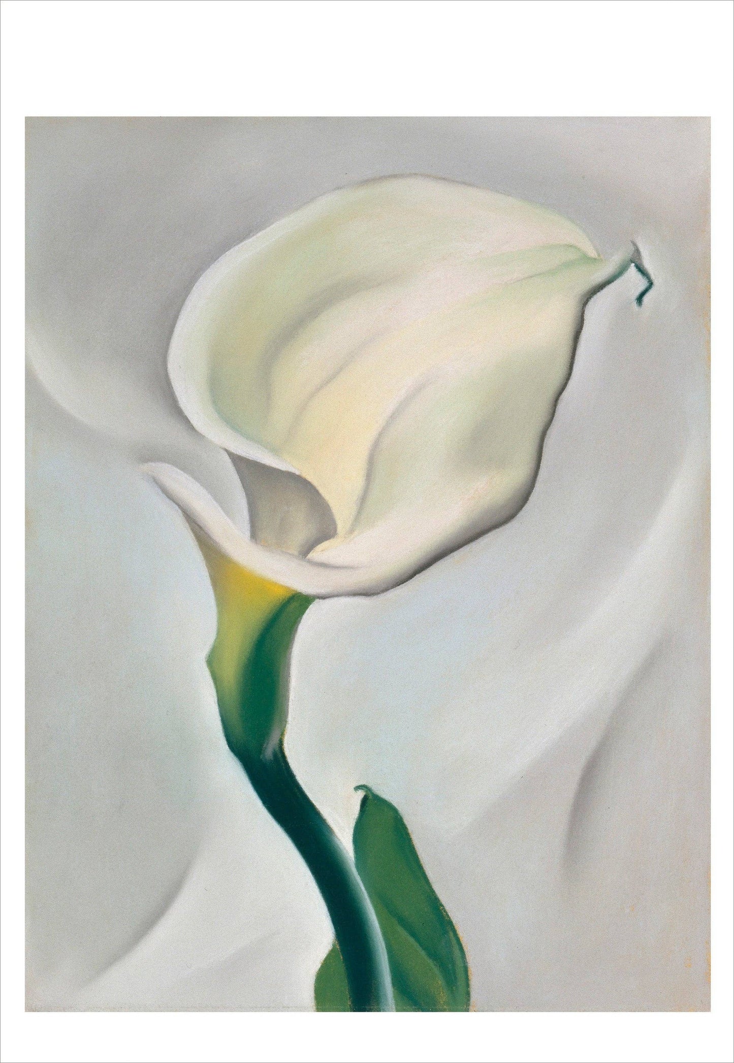Pomegranate - Georgia O'Keeffe Book of Postcards - PMA Store at the Portland Museum of Art, Maine