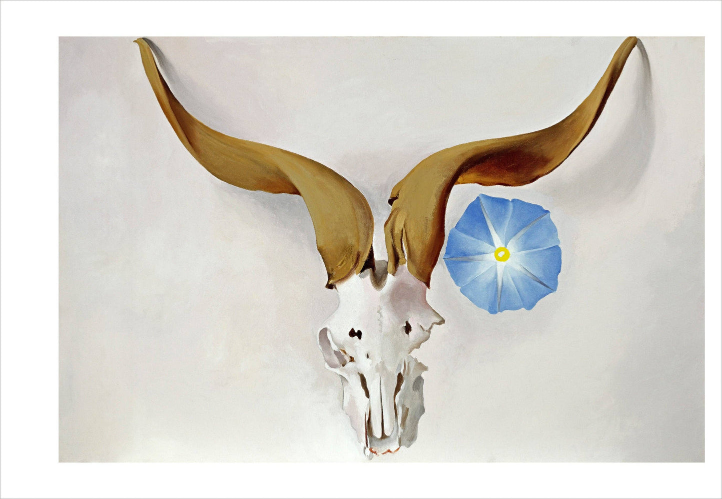 Pomegranate - Georgia O'Keeffe Book of Postcards - PMA Store at the Portland Museum of Art, Maine
