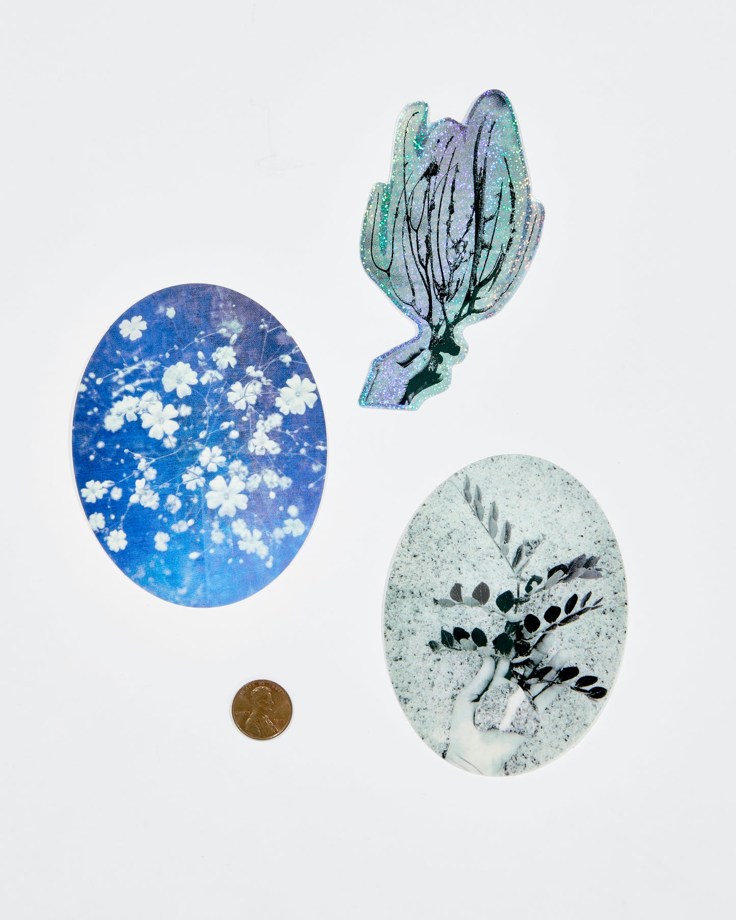 Eve Biddle Sticker 3 (Yucatan, Mexico, March)