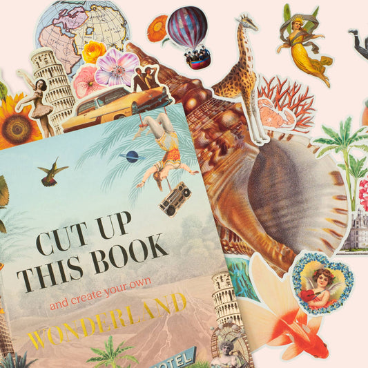 Cut Up This Book and Create Your Own Wonderland - PMA Store at the Portland Museum of Art, Maine