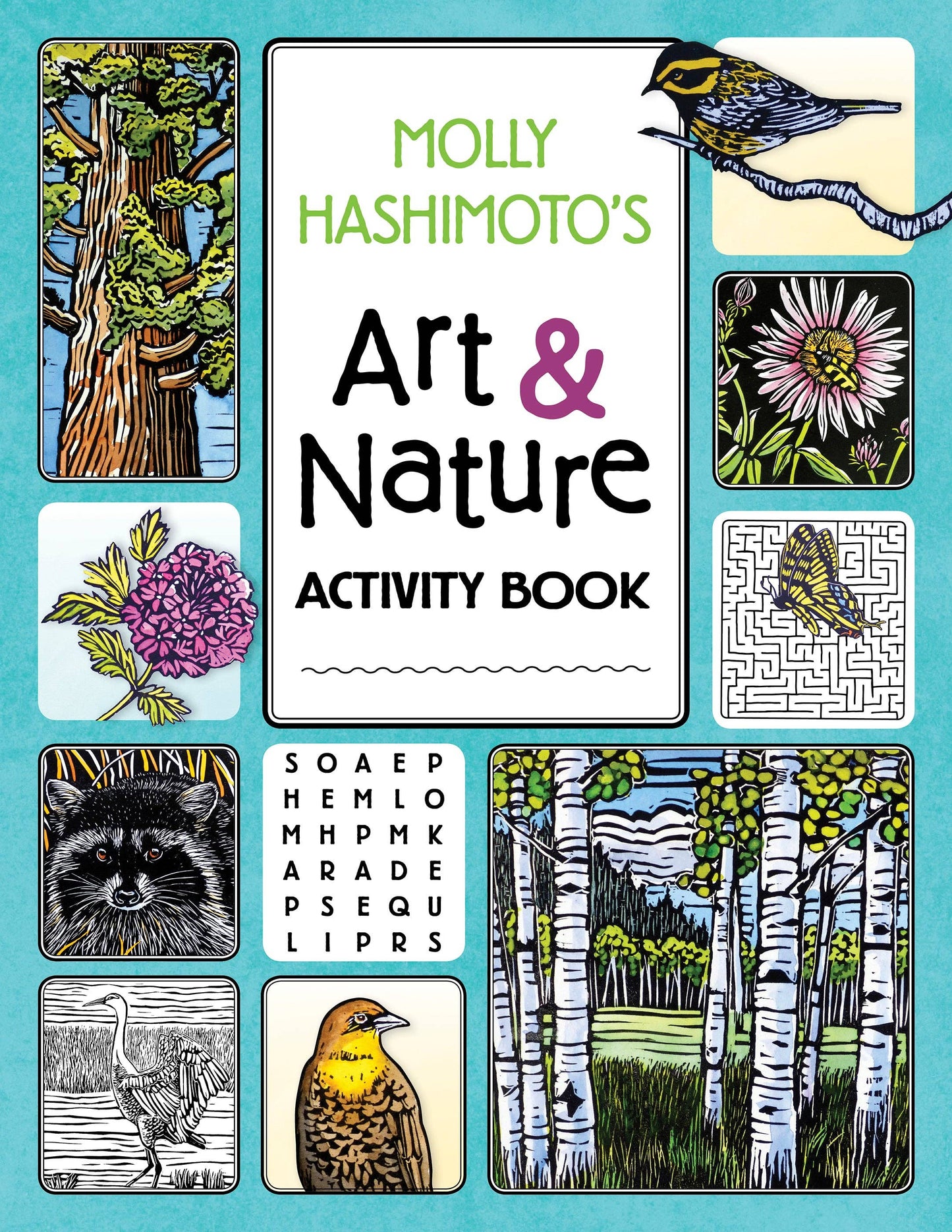 Pomegranate - Molly Hashimoto’s Art & Nature Activity Book - PMA Store at the Portland Museum of Art, Maine