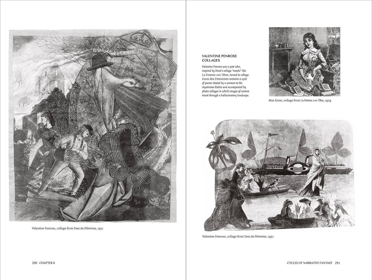 W. W. Norton - Women Artists and the Surrealist Movement: Paperback