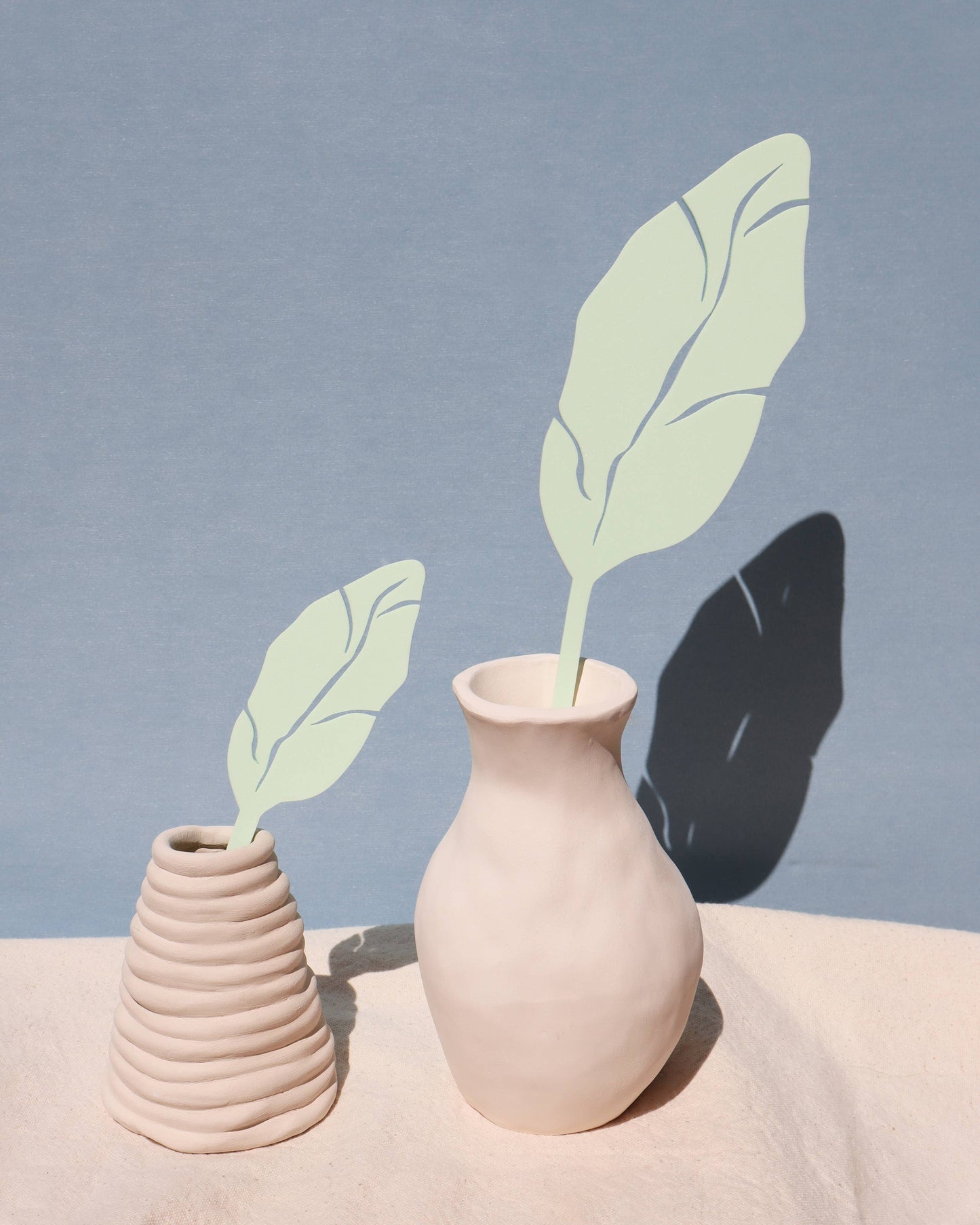 Banana Palm Stem: Sky - PMA Store at the Portland Museum of Art, Maine