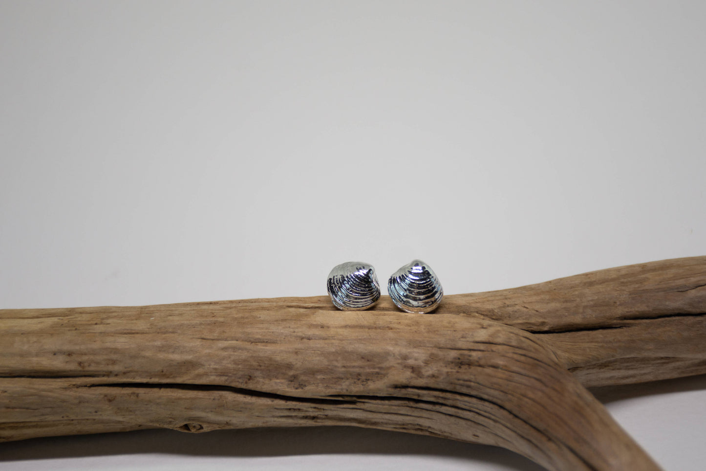 Sea Salt & Silver - Falmouth Clam Shell Stud Earrings - PMA Store at the Portland Museum of Art, Maine