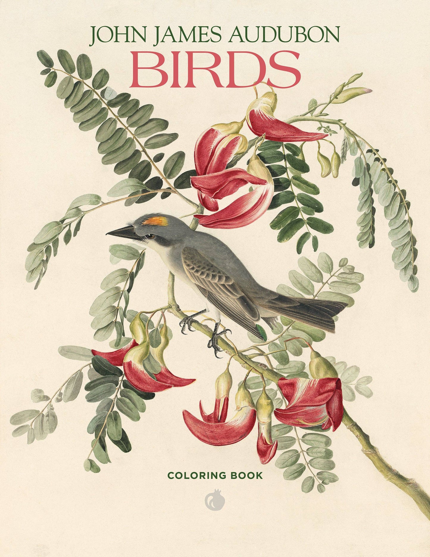 Pomegranate - John James Audubon: Birds Coloring Book - PMA Store at the Portland Museum of Art, Maine