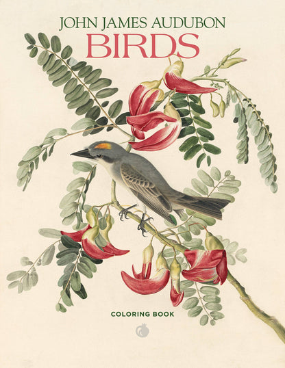 Pomegranate - John James Audubon: Birds Coloring Book - PMA Store at the Portland Museum of Art, Maine
