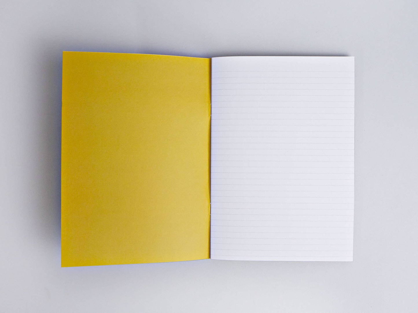 Superbloom Slimline Notebook: Lined - PMA Store at the Portland Museum of Art, Maine