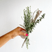 Dried Flower Bundles: Seafoam - PMA Store at the Portland Museum of Art, Maine