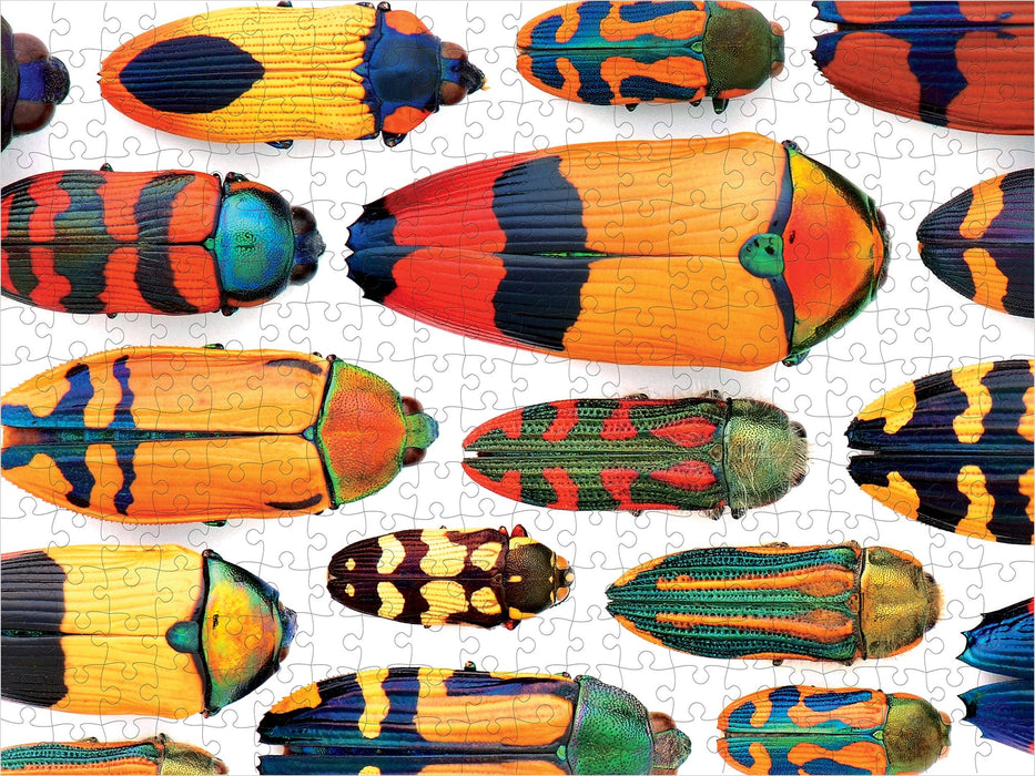 Pomegranate - Christopher Marley: Beautiful Beetles 300-piece Jigsaw Puzzle - PMA Store at the Portland Museum of Art, Maine
