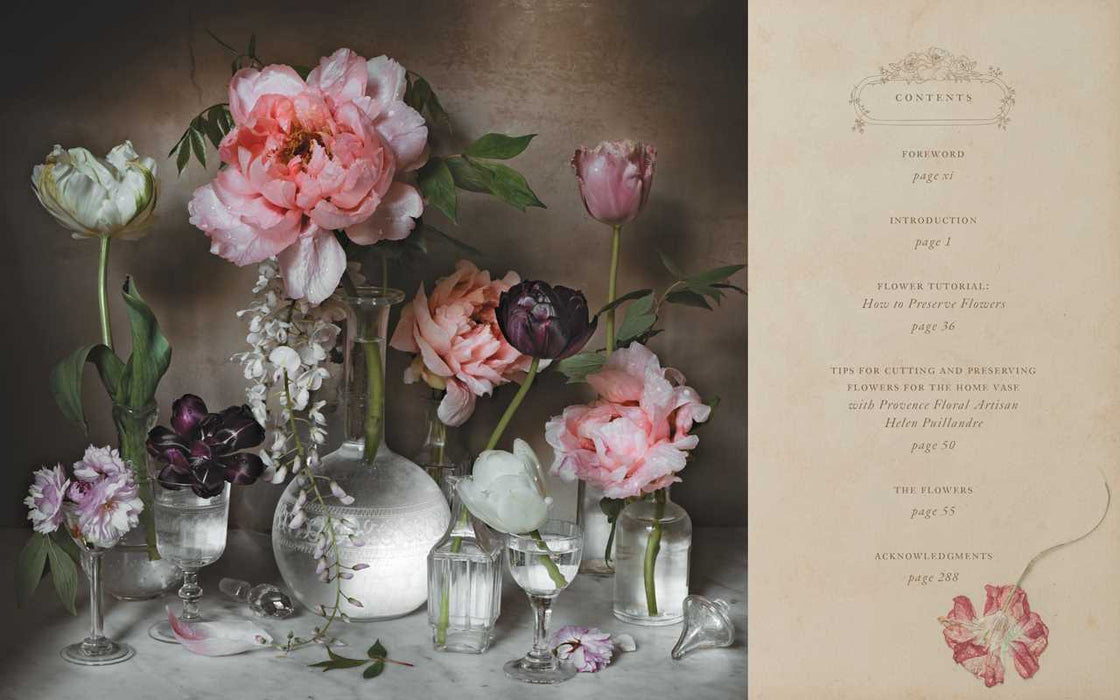 Simon & Schuster - Flowers of Provence by Jamie Beck - PMA Store at the Portland Museum of Art, Maine