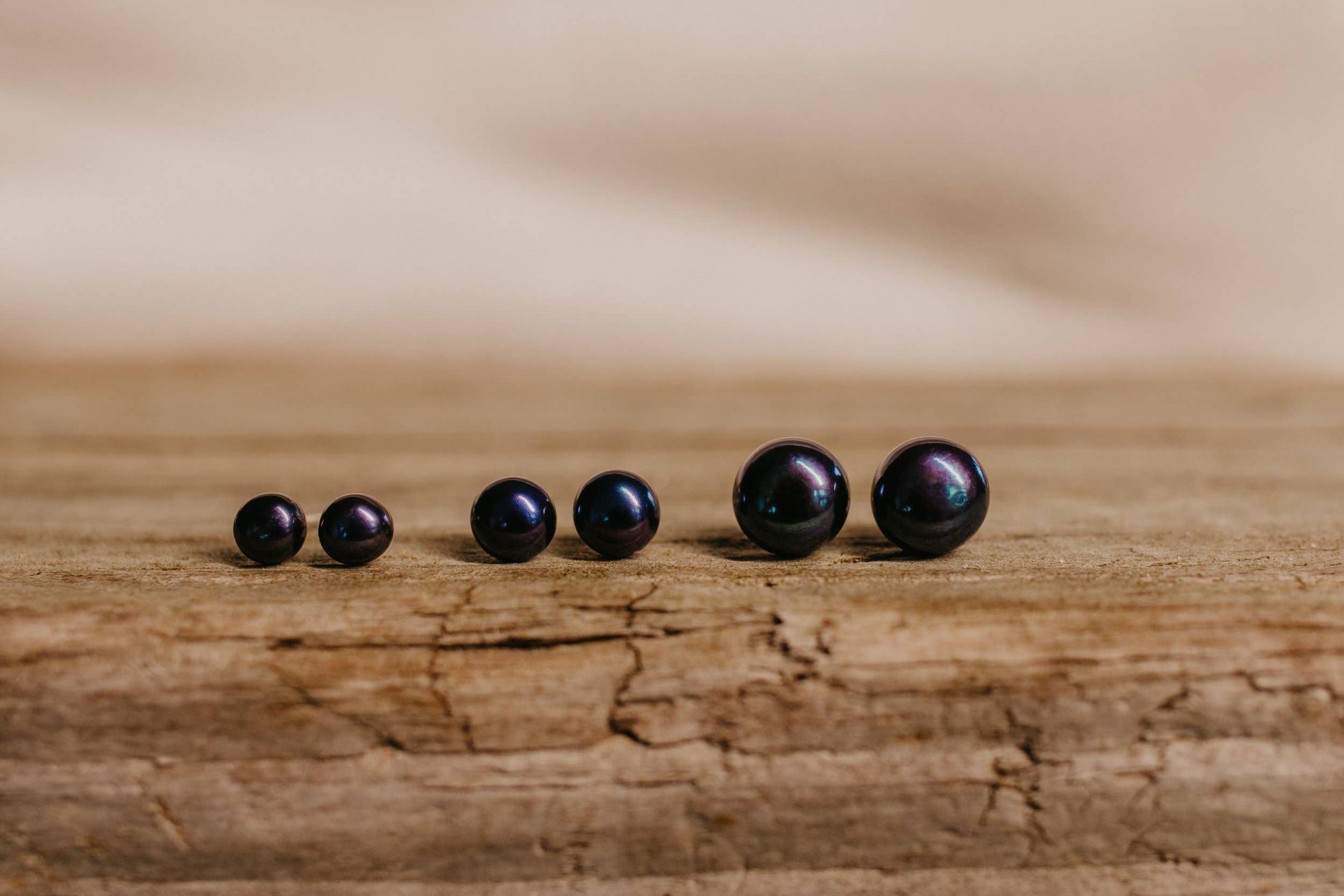 Sea Salt & Silver - Black Pearl Stud Earrings: Medium - PMA Store at the Portland Museum of Art, Maine