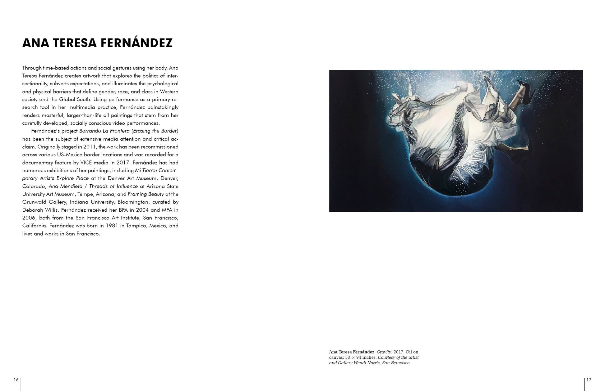 Schiffer Publishing - 50 Contemporary Women Artists - PMA Store at the Portland Museum of Art, Maine