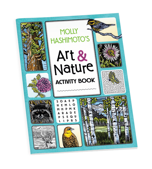 Pomegranate - Molly Hashimoto’s Art & Nature Activity Book - PMA Store at the Portland Museum of Art, Maine