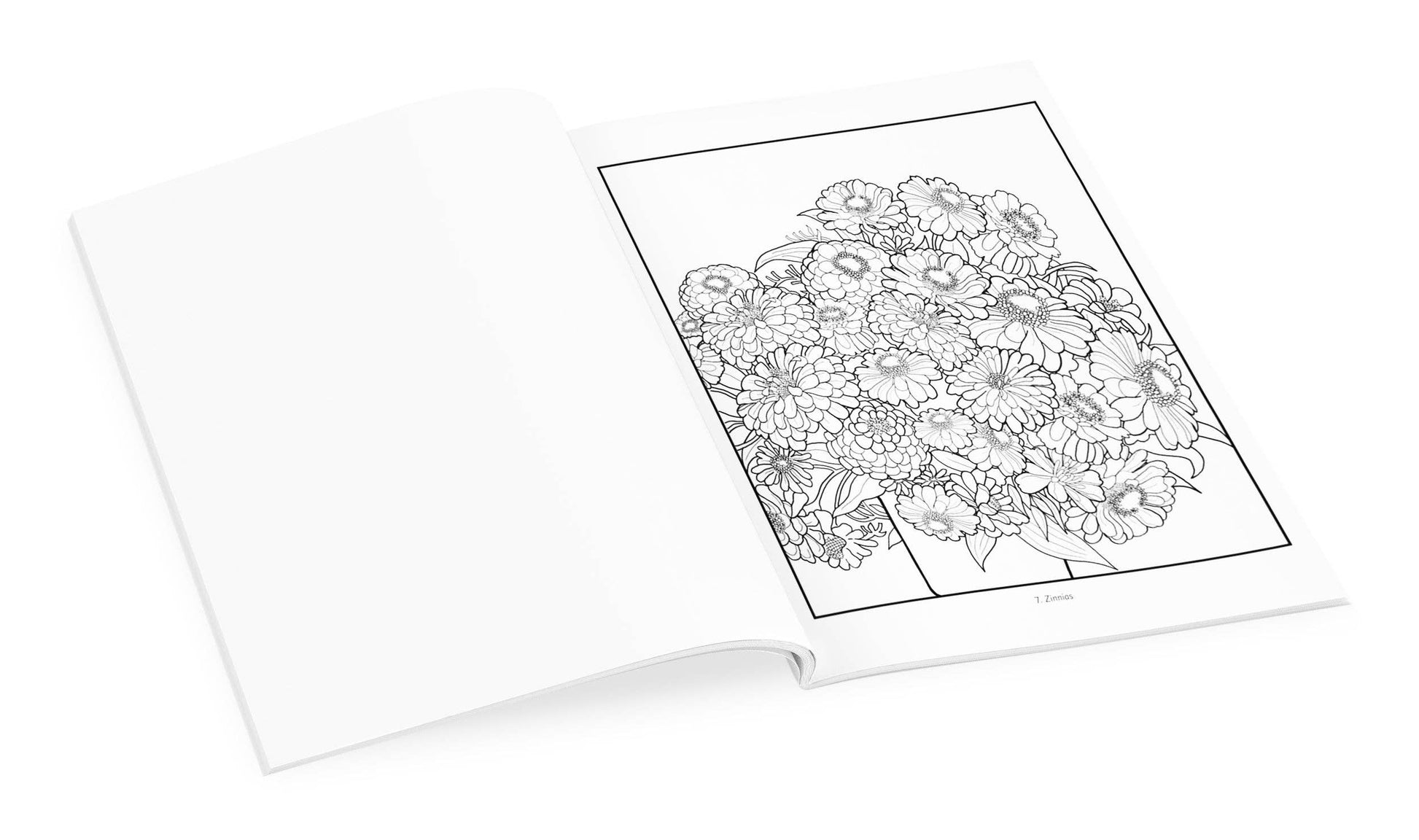 Pomegranate - Gustave Baumann Coloring Book - PMA Store at the Portland Museum of Art, Maine
