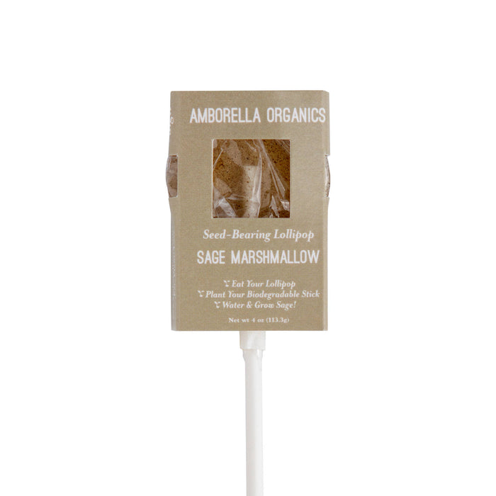 Amborella Organics - Blooming Lollipop Bundle (Eat, Plant & Grow a Herb/Flower) - PMA Store at the Portland Museum of Art, Maine