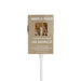 Amborella Organics - Blooming Lollipop Bundle (Eat, Plant & Grow a Herb/Flower) - PMA Store at the Portland Museum of Art, Maine