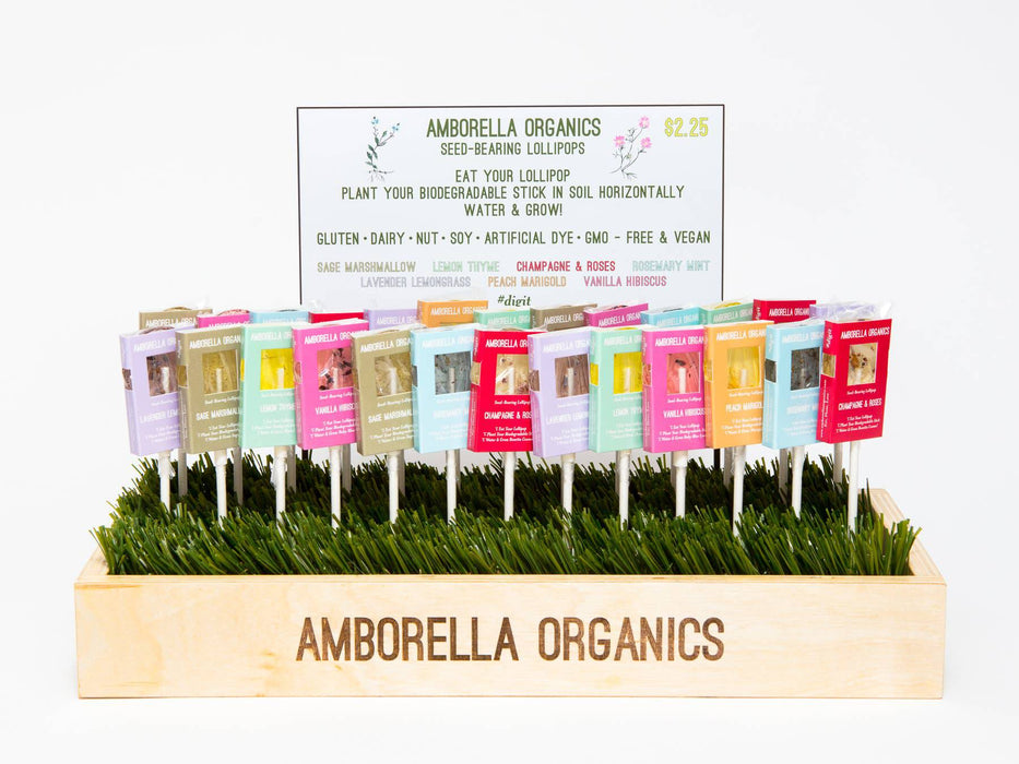 Amborella Organics - Blooming Lollipop Bundle (Eat, Plant & Grow a Herb/Flower) - PMA Store at the Portland Museum of Art, Maine