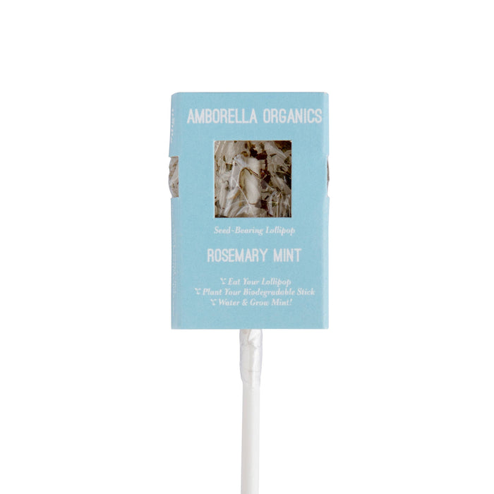 Amborella Organics - Blooming Lollipop Bundle (Eat, Plant & Grow a Herb/Flower) - PMA Store at the Portland Museum of Art, Maine