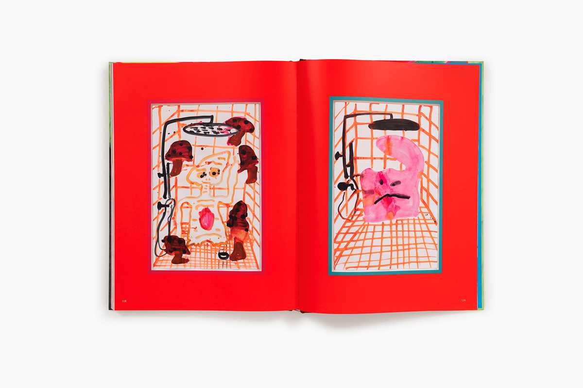 Simon & Schuster - Katherine Bernhardt: Why is a mushroom growing in my shower? by Katherine Bernhardt: Hardcover; 128 pages / English - PMA Store at the Portland Museum of Art, Maine