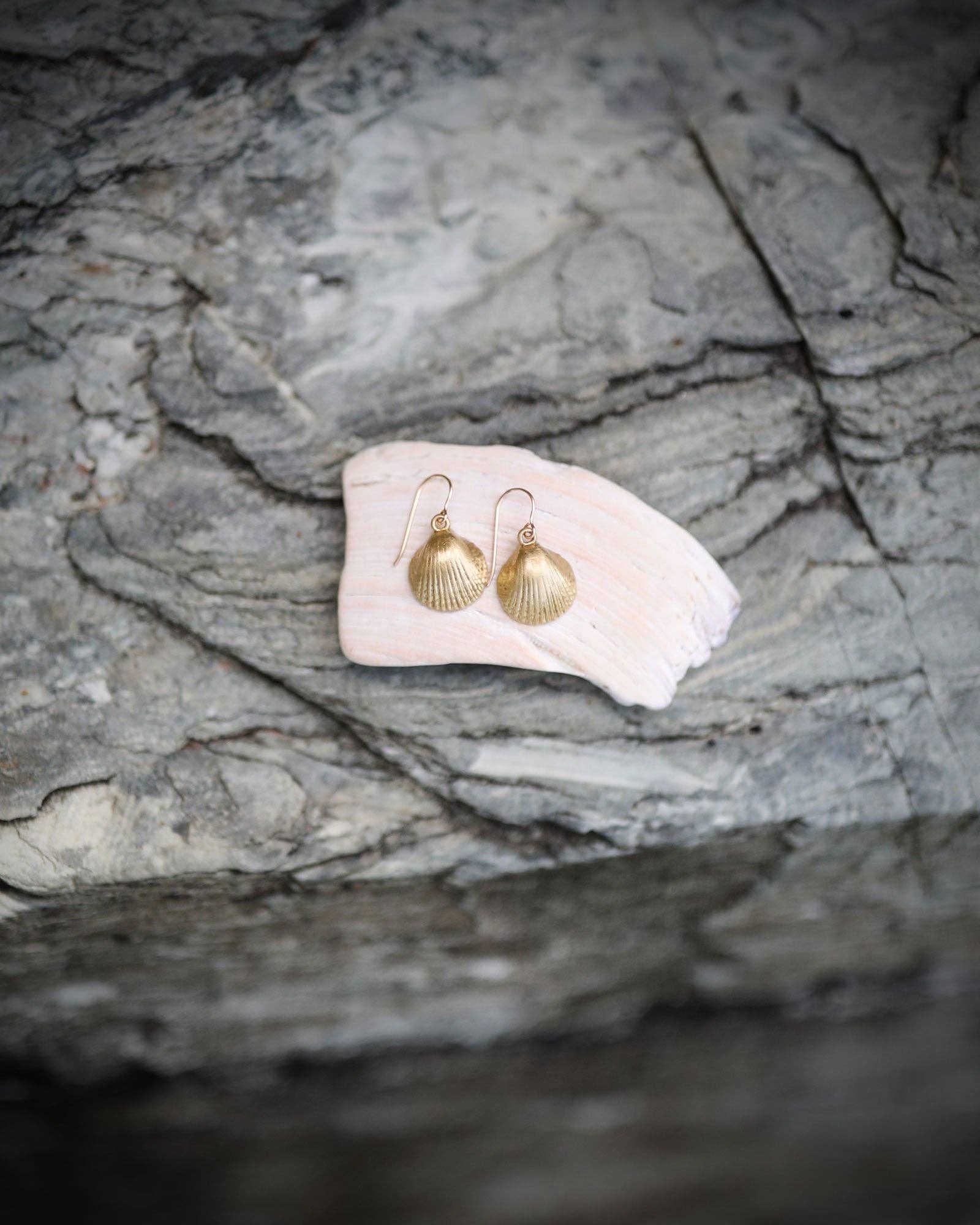 Sailors Valentine - Scallop Shell Earrings: Default Title - PMA Store at the Portland Museum of Art, Maine