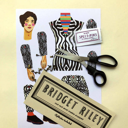 Bridget Riley - PMA Store at the Portland Museum of Art, Maine