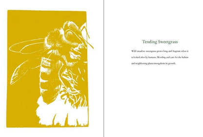 VisionWorks LLC - Braiding Sweetgrass, by Robin Wall Kimmerer. Hardcover - PMA Store at the Portland Museum of Art, Maine