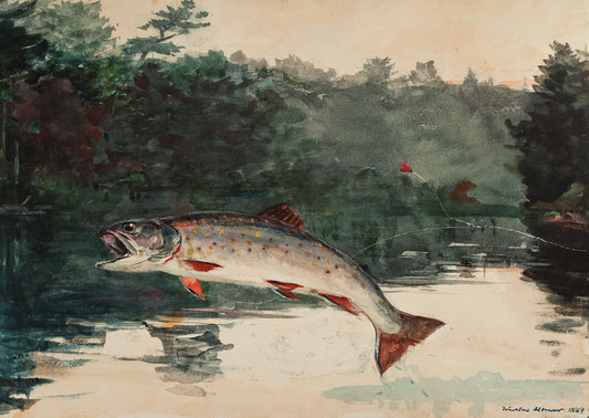 Leaping Trout Winslow Homer Postcard - PMA Store at the Portland Museum of Art, Maine