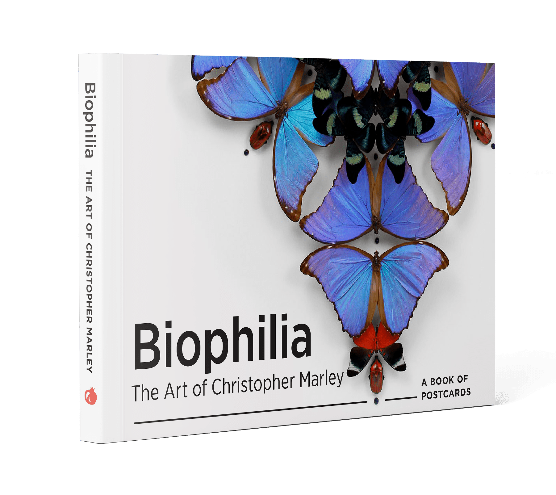 Pomegranate - Biophilia: The Art of Christopher Marley Book of Postcards - PMA Store at the Portland Museum of Art, Maine