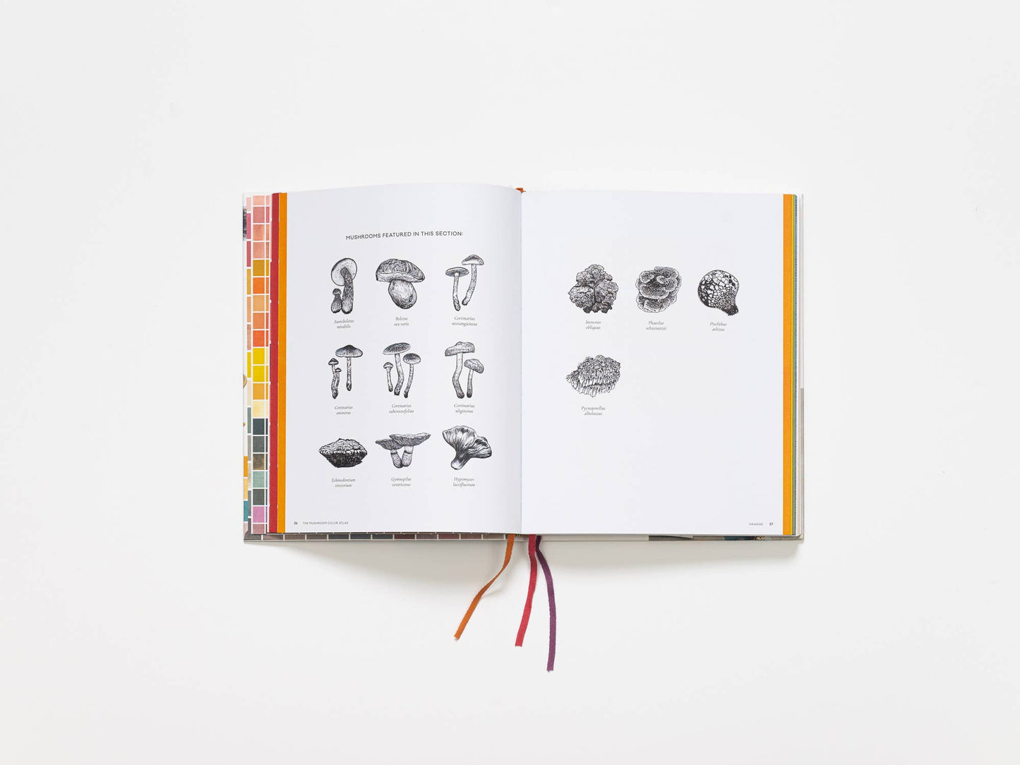 Chronicle Books - Mushroom Color Atlas - PMA Store at the Portland Museum of Art, Maine