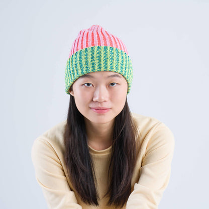 Big Stripe Beanie: Lime Cobalt - PMA Store at the Portland Museum of Art, Maine