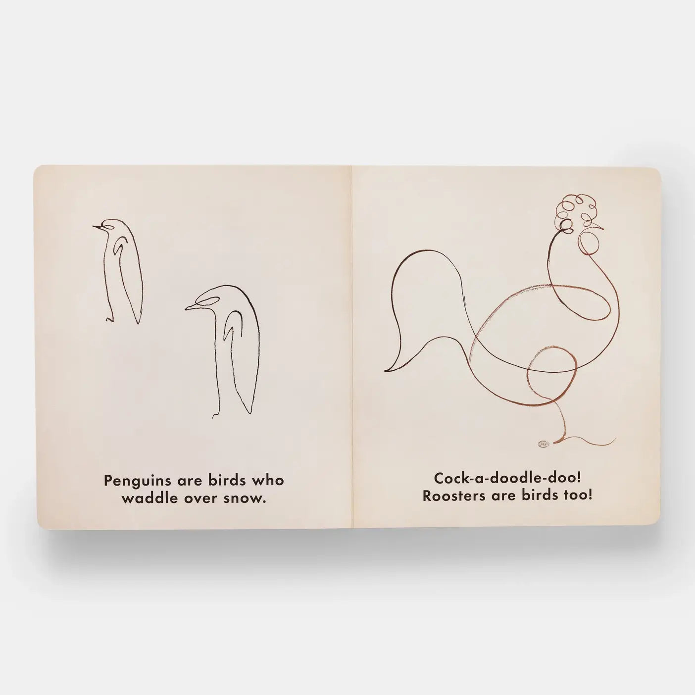 Birds & Other Animals - PMA Store at the Portland Museum of Art, Maine