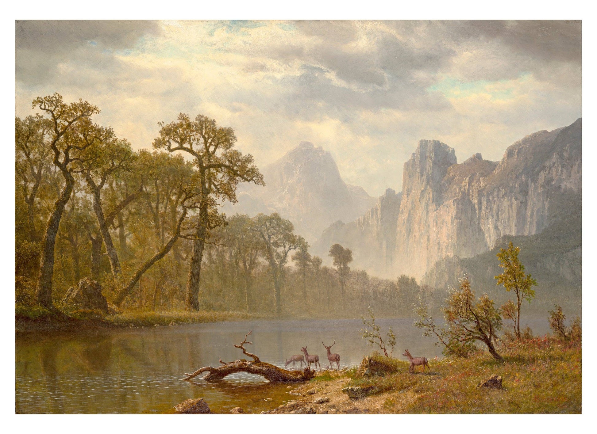 Pomegranate - Hudson River School Paintings Book of Postcards - PMA Store at the Portland Museum of Art, Maine