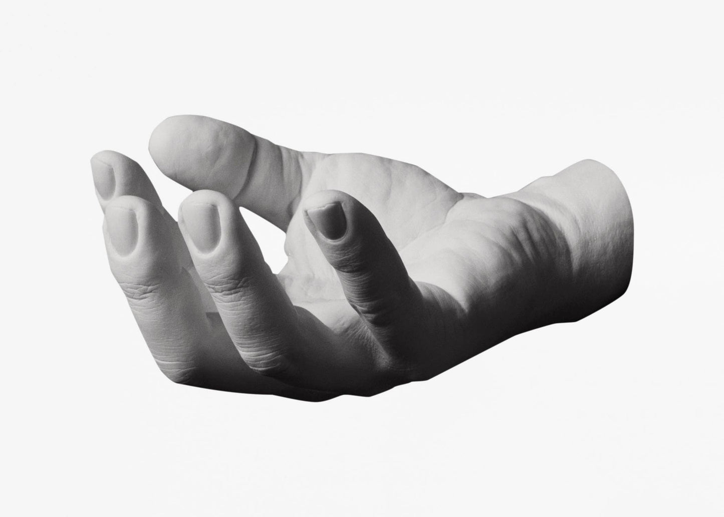 Reality Hand Hook: Grab - PMA Store at the Portland Museum of Art, Maine