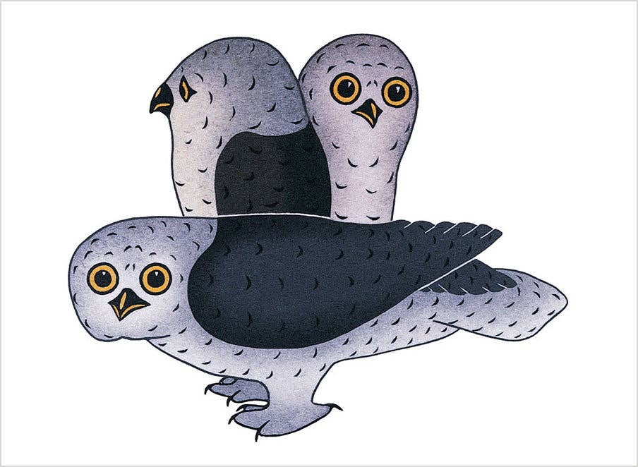 Pomegranate - Inuit Art: Birds Book of Postcards - PMA Store at the Portland Museum of Art, Maine