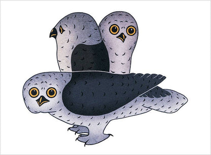 Pomegranate - Inuit Art: Birds Book of Postcards - PMA Store at the Portland Museum of Art, Maine