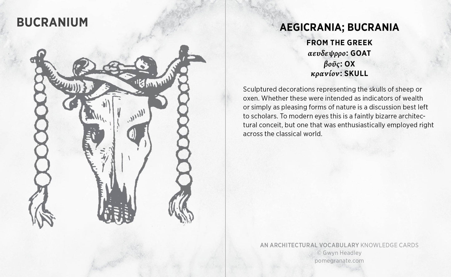 Pomegranate - An Architectural Vocabulary Knowledge Cards - PMA Store at the Portland Museum of Art, Maine