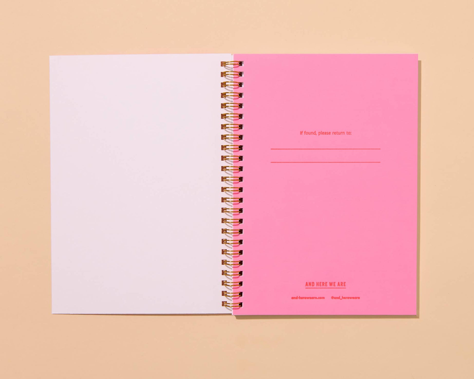 And Here We Are - Letterpress A5 Spiral Notebook—Oyster (Seafood Beach Summer) - PMA Store at the Portland Museum of Art, Maine