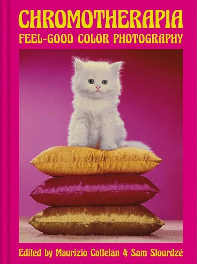 ARTBOOK | D.A.P. - Chromotherapia - PMA Store at the Portland Museum of Art, Maine
