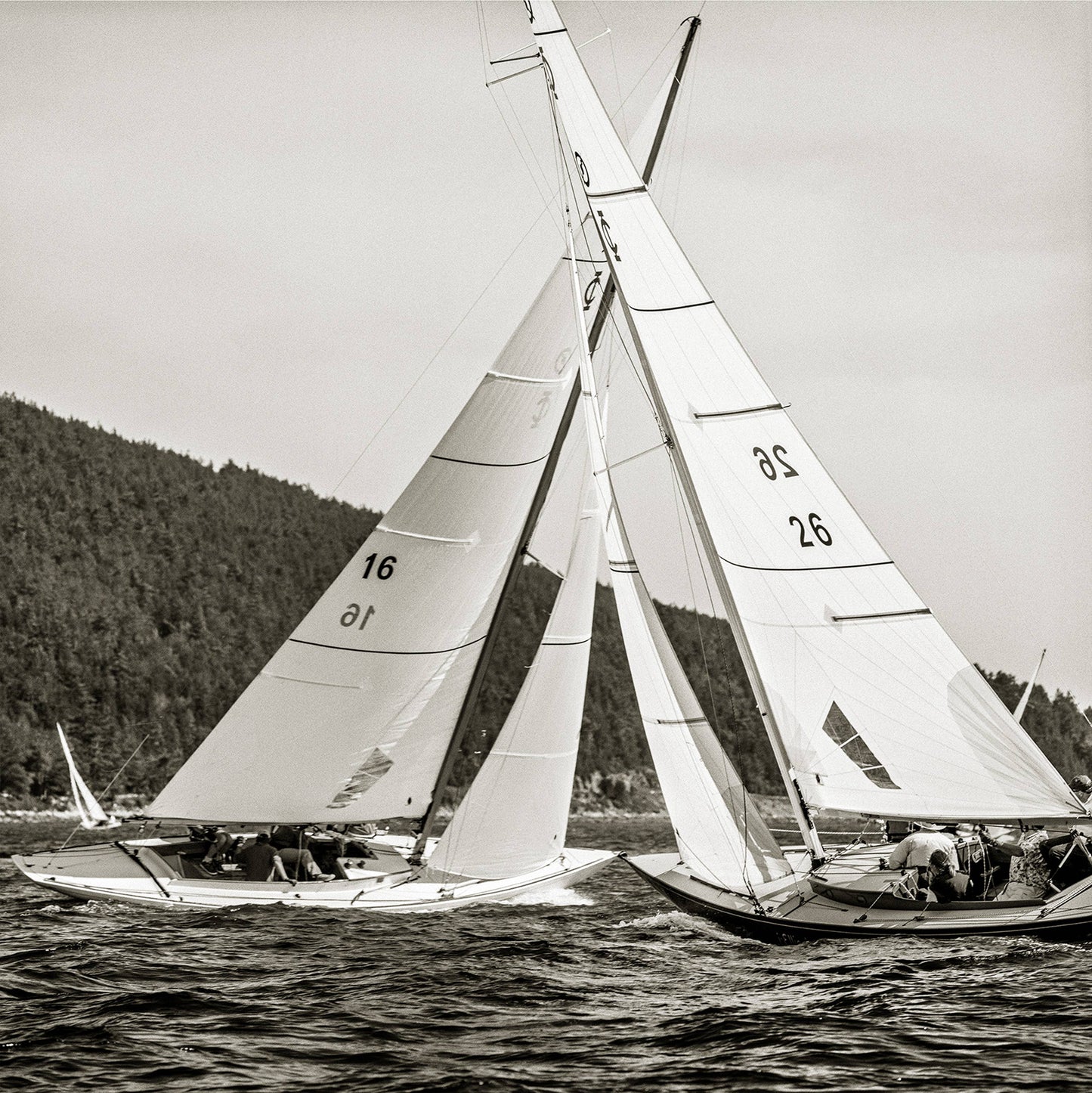 Schiffer Publishing - The Maine Coast - PMA Store at the Portland Museum of Art, Maine