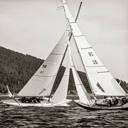 Schiffer Publishing - The Maine Coast - PMA Store at the Portland Museum of Art, Maine