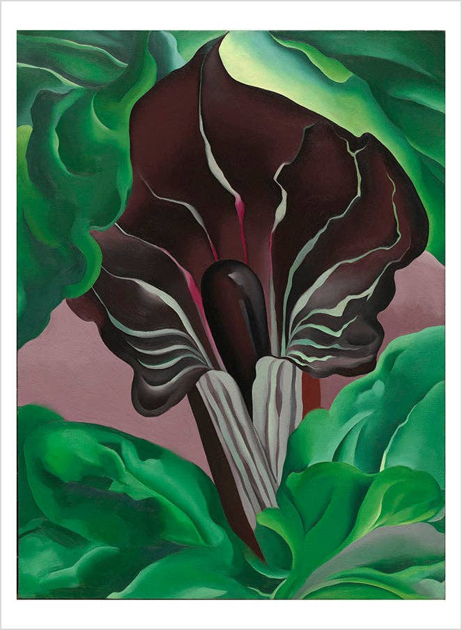 Pomegranate - Georgia O'Keeffe: Abstraction Book of Postcards - PMA Store at the Portland Museum of Art, Maine