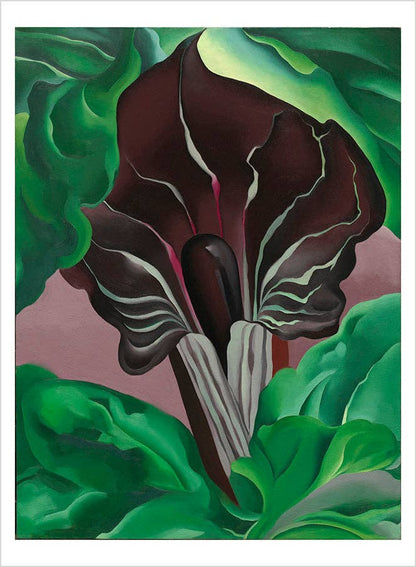 Pomegranate - Georgia O'Keeffe: Abstraction Book of Postcards - PMA Store at the Portland Museum of Art, Maine