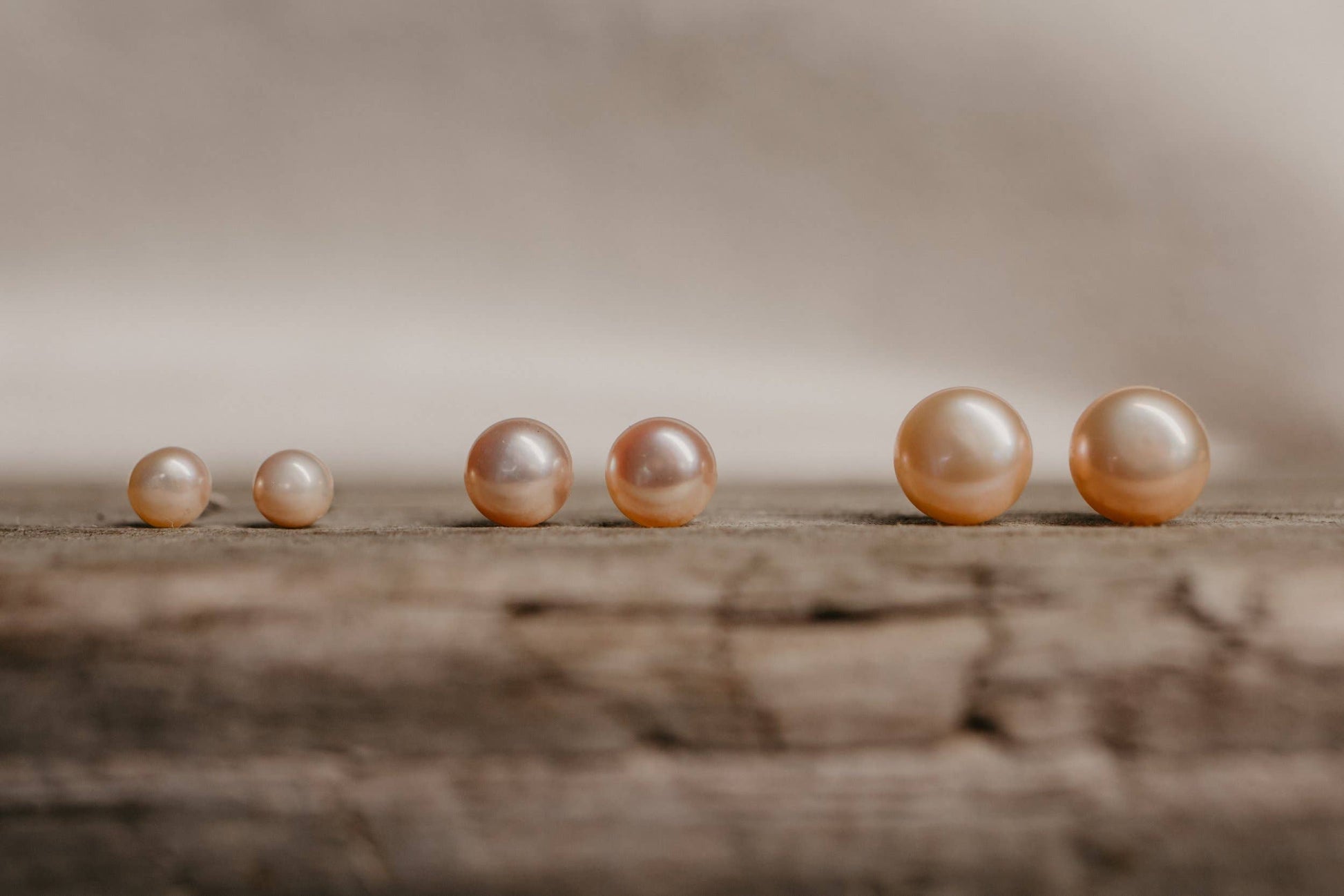 Sea Salt & Silver - Blush Pearl Stud Earrings: Small - PMA Store at the Portland Museum of Art, Maine