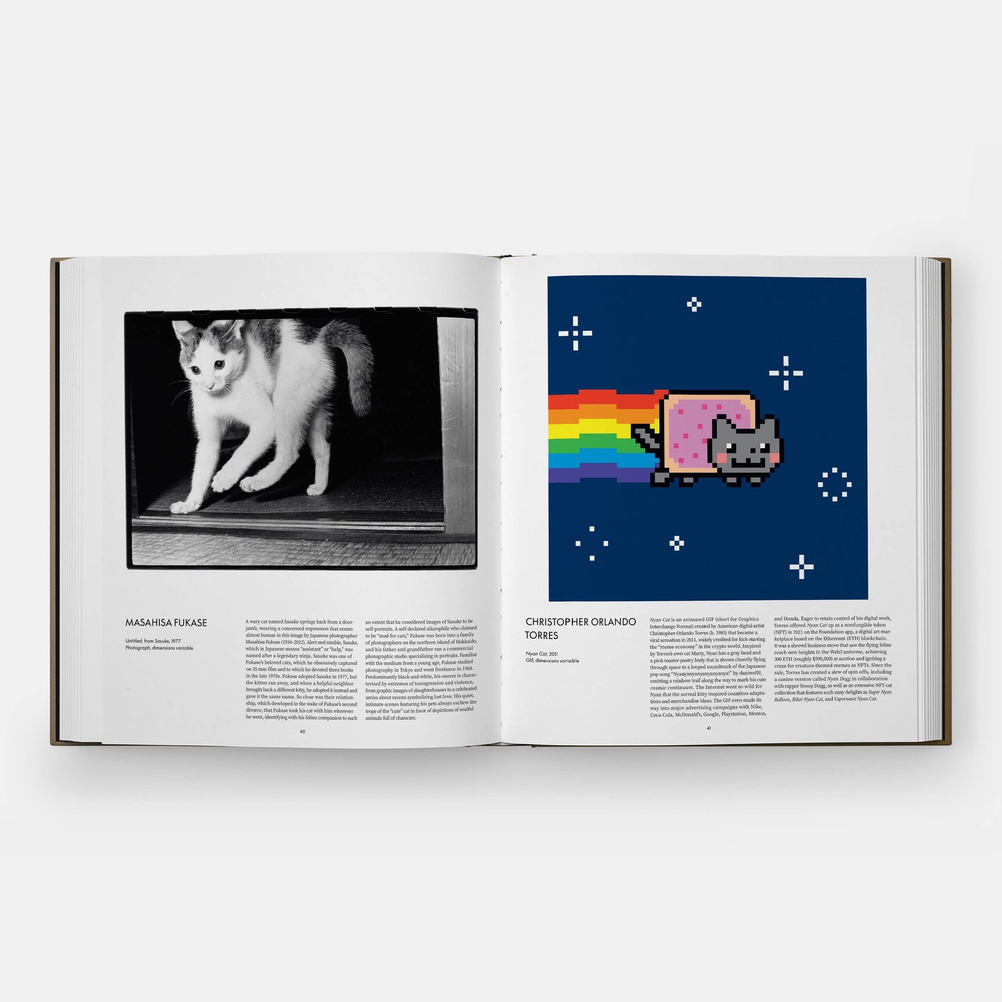 Phaidon - Cat - PMA Store at the Portland Museum of Art, Maine