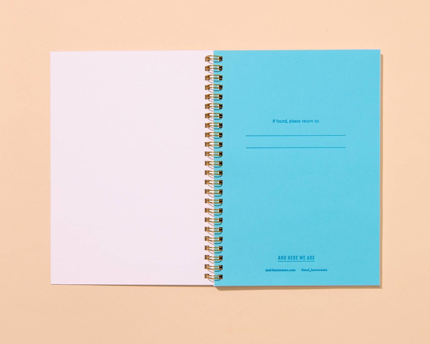 And Here We Are - Letterpress A5 Spiral Notebook—Rainbow Trout (Colorful Fish) - PMA Store at the Portland Museum of Art, Maine